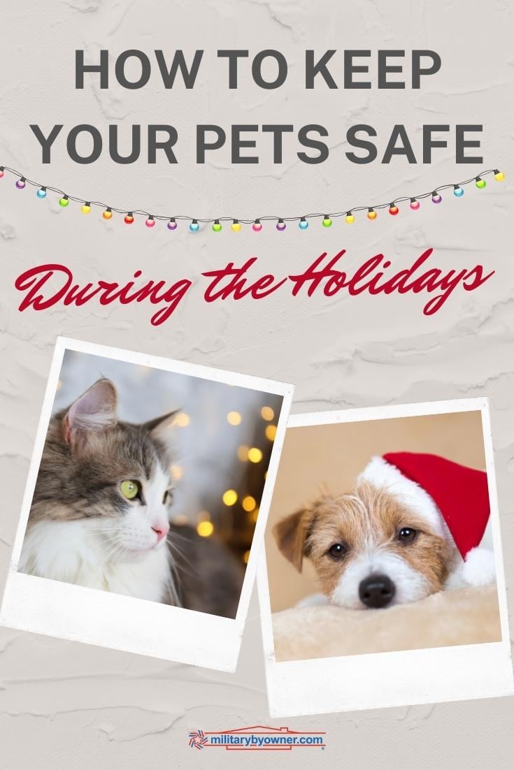 Holiday Safety Tips For Pets